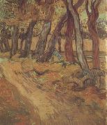 Vincent Van Gogh The Garden of Saint-Paul Hospital with Figure (nn04) oil painting picture wholesale
